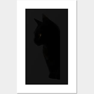 Eyes of the night (Black cat) Posters and Art